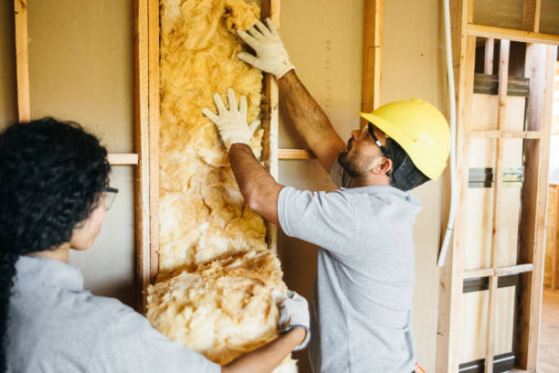 Best Insulation for New Construction  in Lake Holm, WA